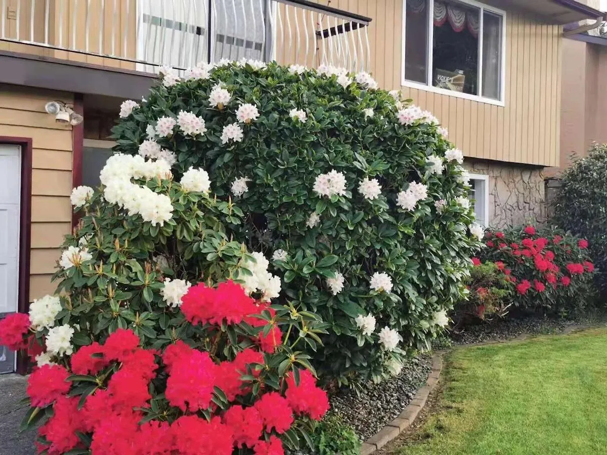 Richmond Vancouver Airport Comfy Home Bed & Breakfast